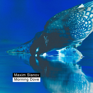 美女裸体100%视频
