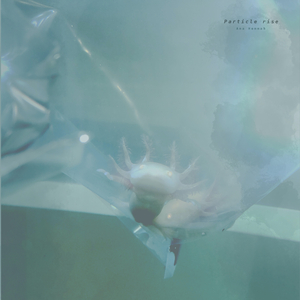 美女裸体100%视频
