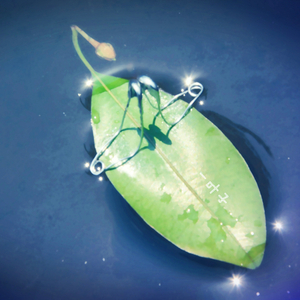 美女裸体100%视频
